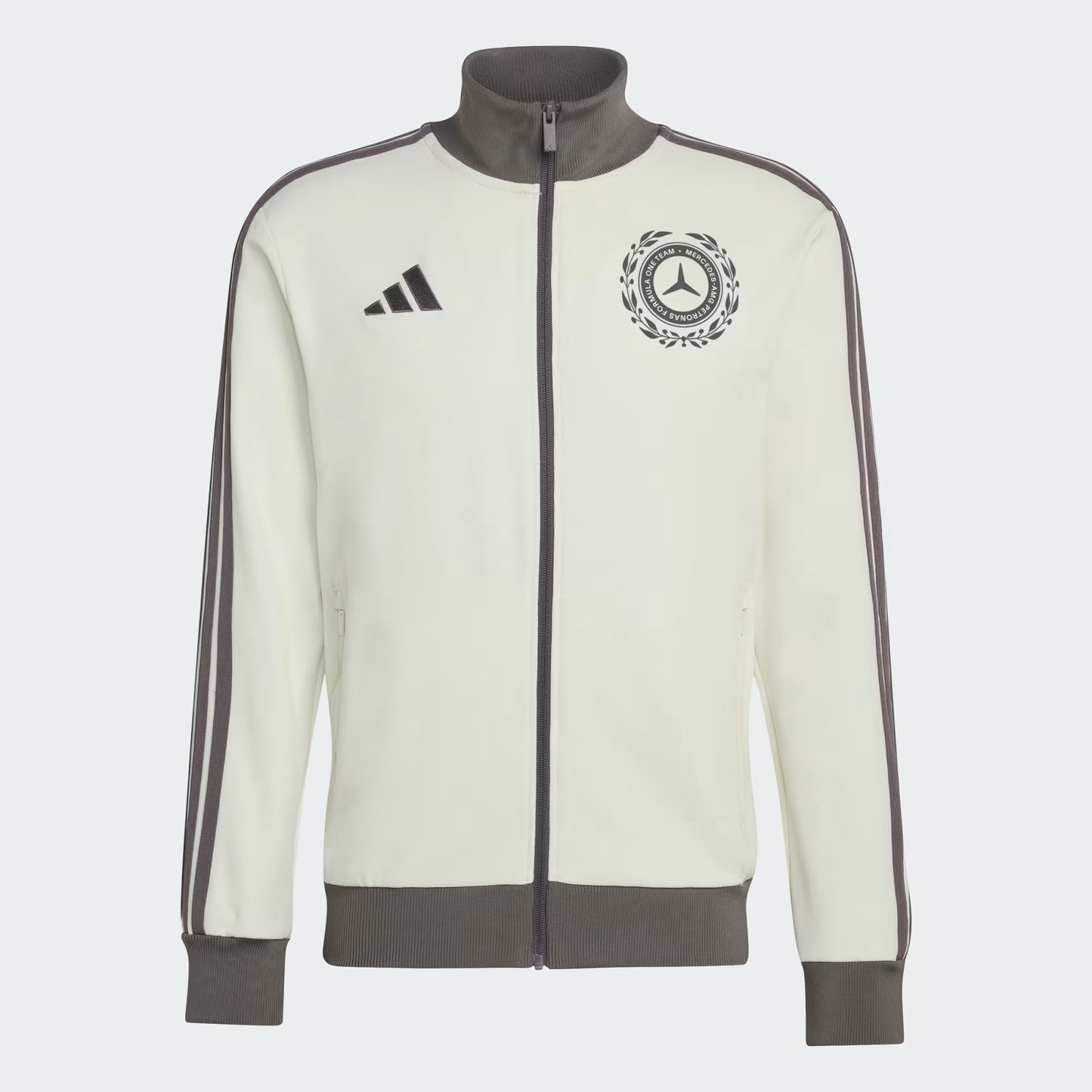 TUTA ADIDAS ORIGINALS AMG PETRONAS FORMULA 1 TEAM SILVER ARROWS ICON