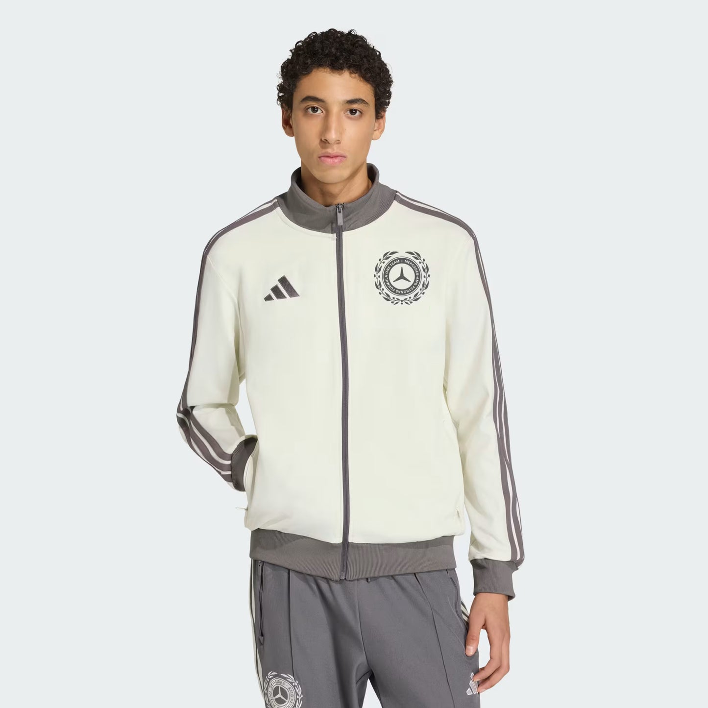 TUTA ADIDAS ORIGINALS AMG PETRONAS FORMULA 1 TEAM SILVER ARROWS ICON