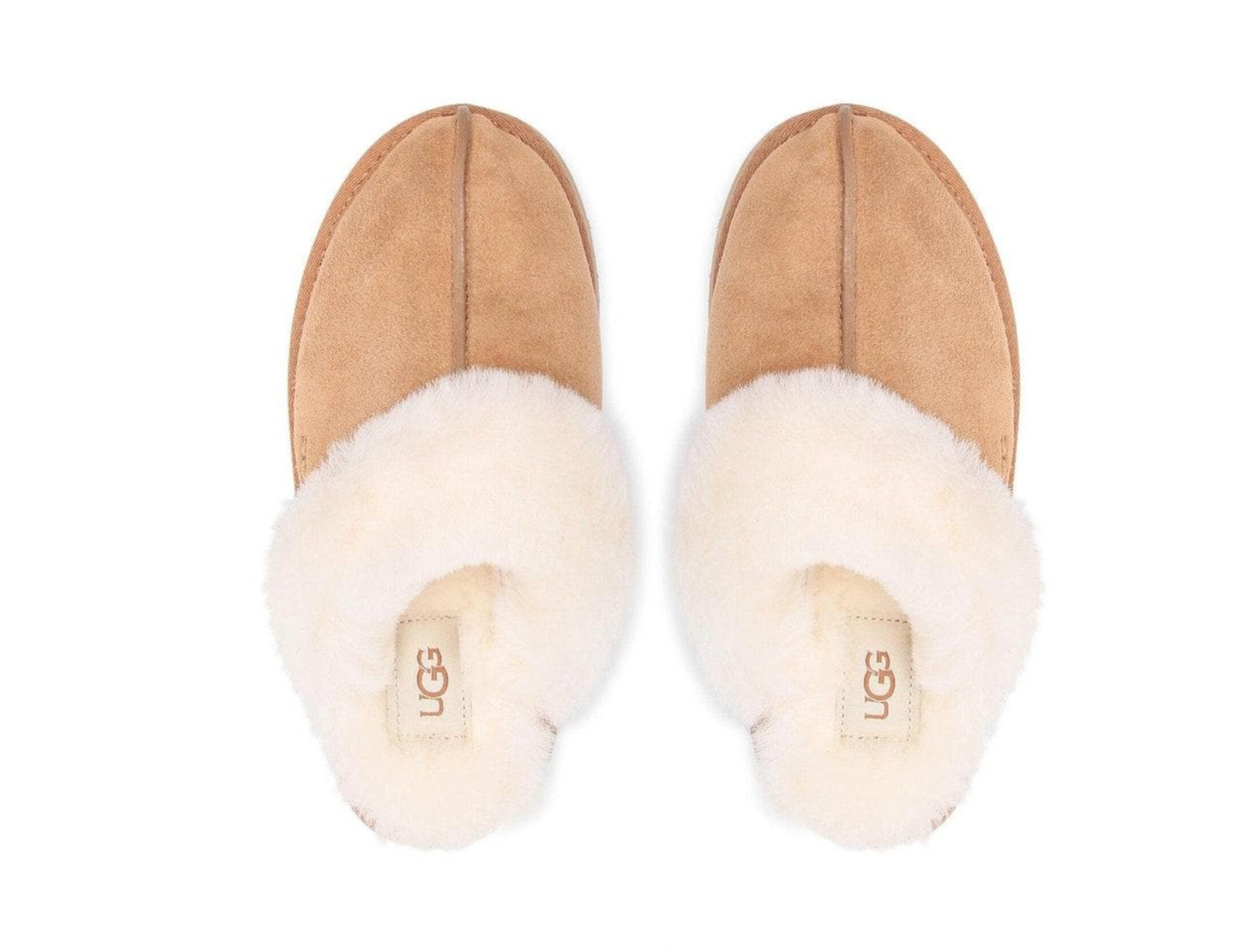 UGG DISQUETTE
